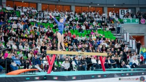 grand prix della ginnastica 0442 sfe08582 copia simone ferraro ph